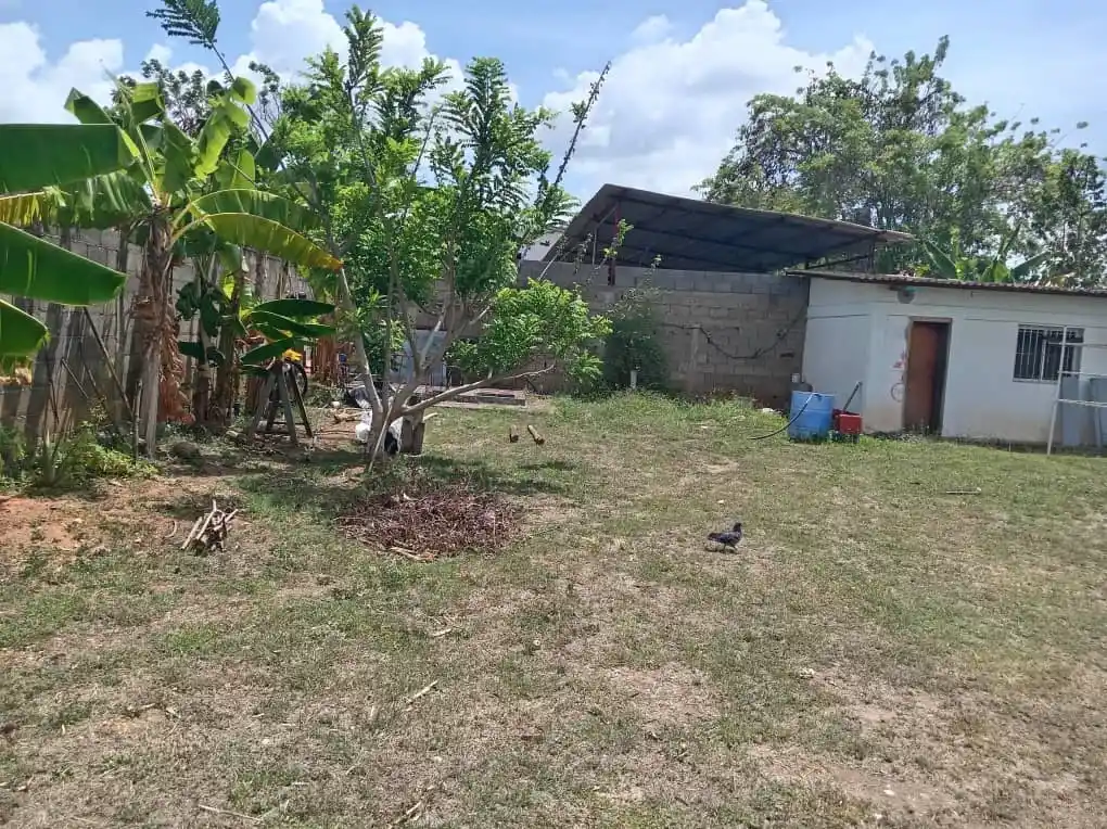 Área de producción